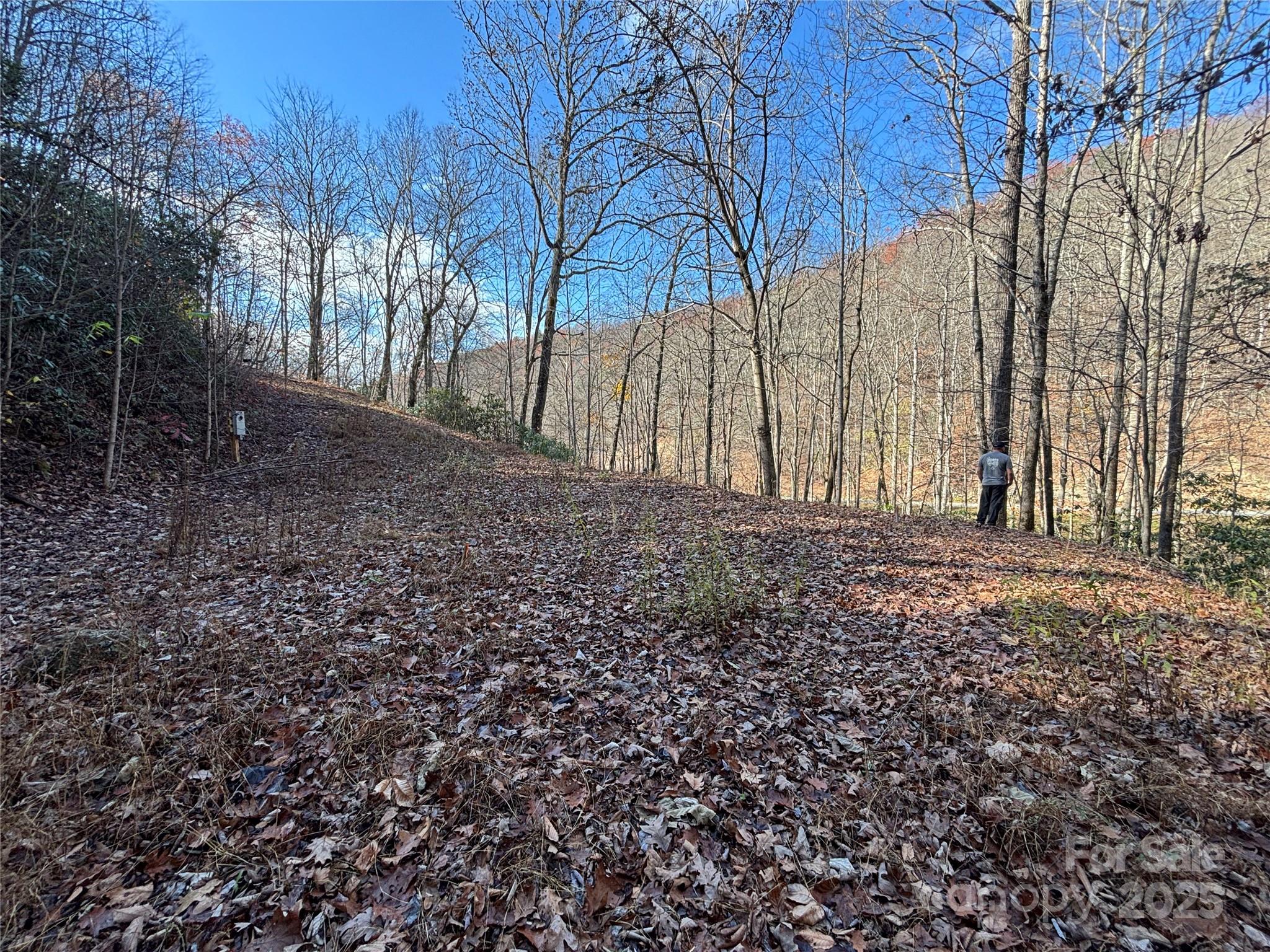 Off Houston Farm Road Bryson City, NC 28713 - Photo 11 of 18 a backyard of a house with lots of green space