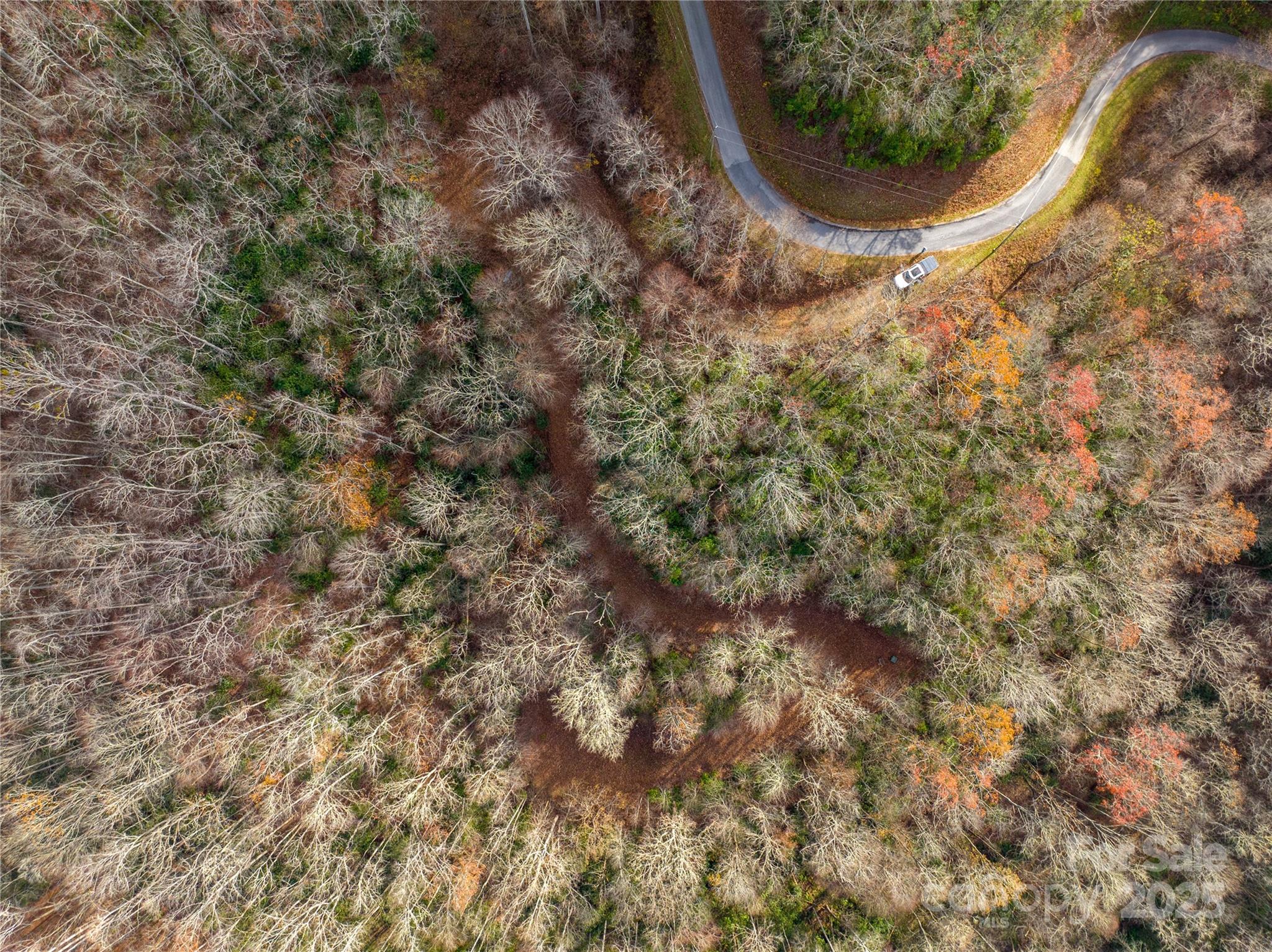 Off Houston Farm Road Bryson City, NC 28713 - Photo 5 of 18 a view of a dry yard with lots of bushes