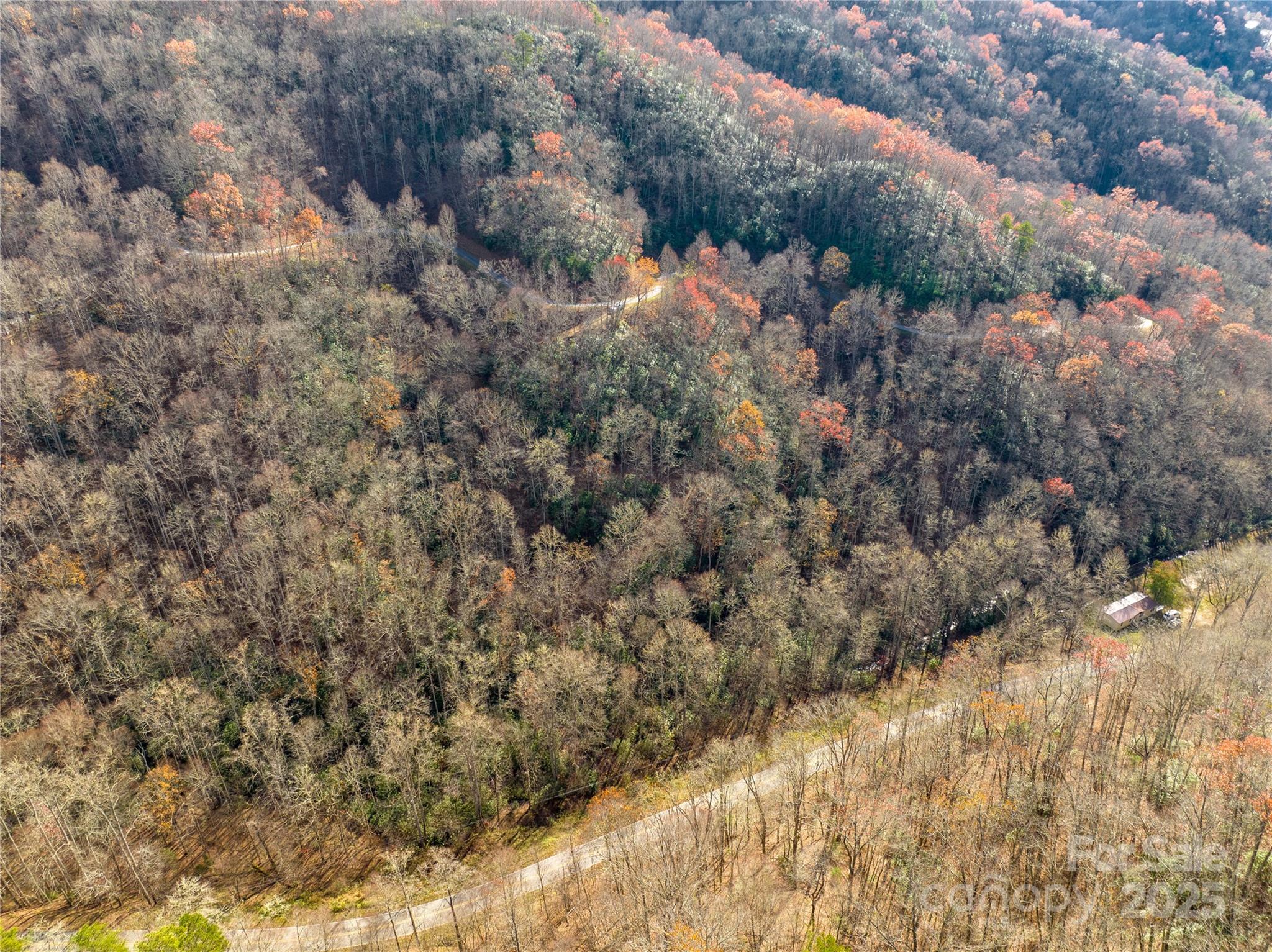 Off Houston Farm Road Bryson City, NC 28713 - Photo 6 of 18 a view of a forest with lots of trees