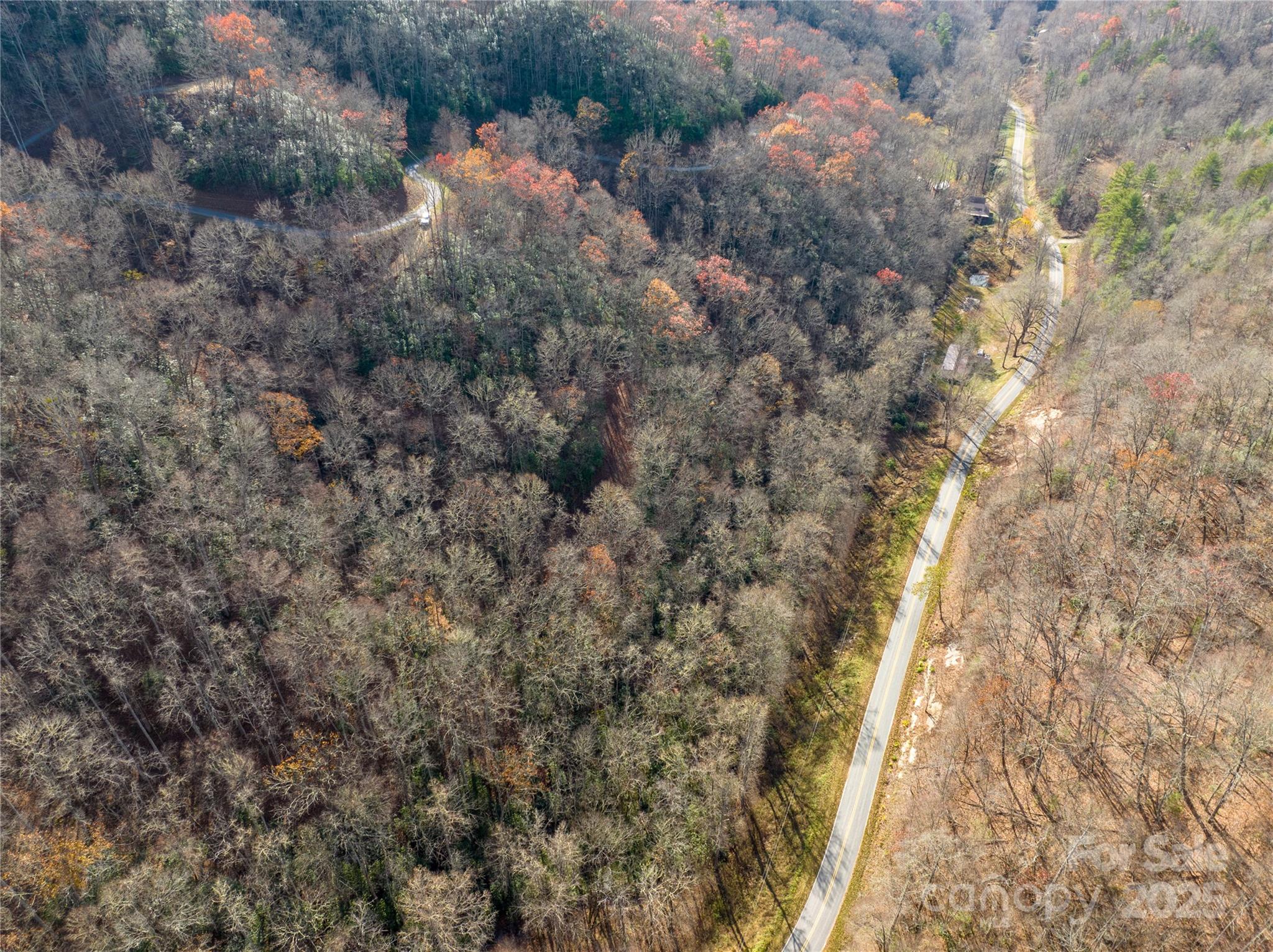Off Houston Farm Road Bryson City, NC 28713 - Photo 7 of 18 a view of a forest with large trees