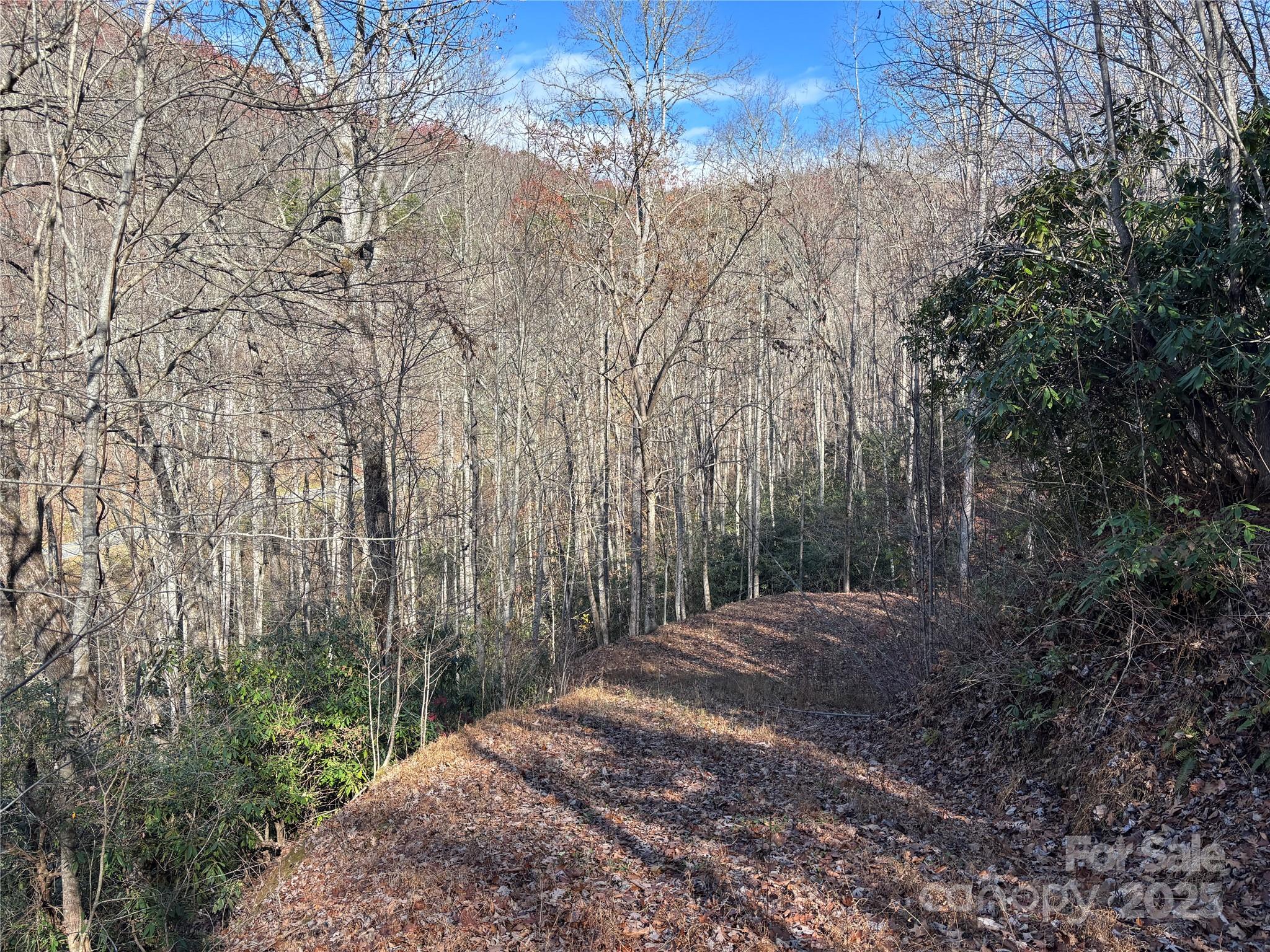 Off Houston Farm Road Bryson City, NC 28713 - Photo 8 of 18 a view of a yard with a tree