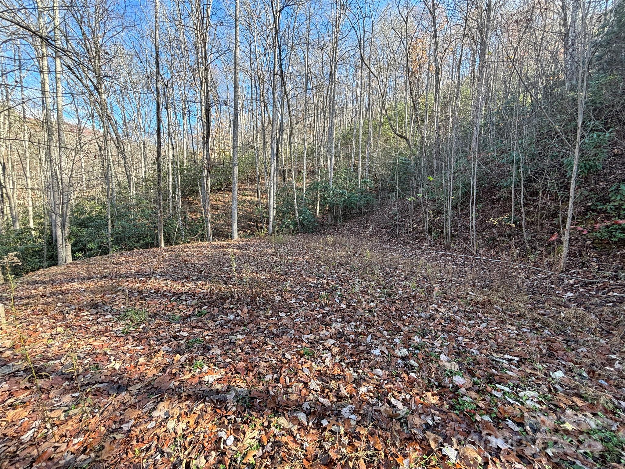 Off Houston Farm Road Bryson City, NC 28713 - Photo 10 of 18 a view of a forest with trees in the background
