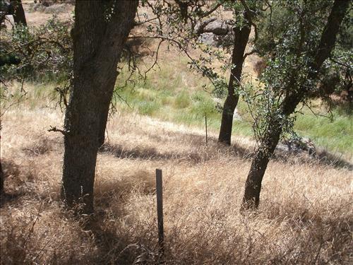0 Jack Springs Road Tehachapi, CA 93561 - Photo 8 of 17 Gallery Image 8