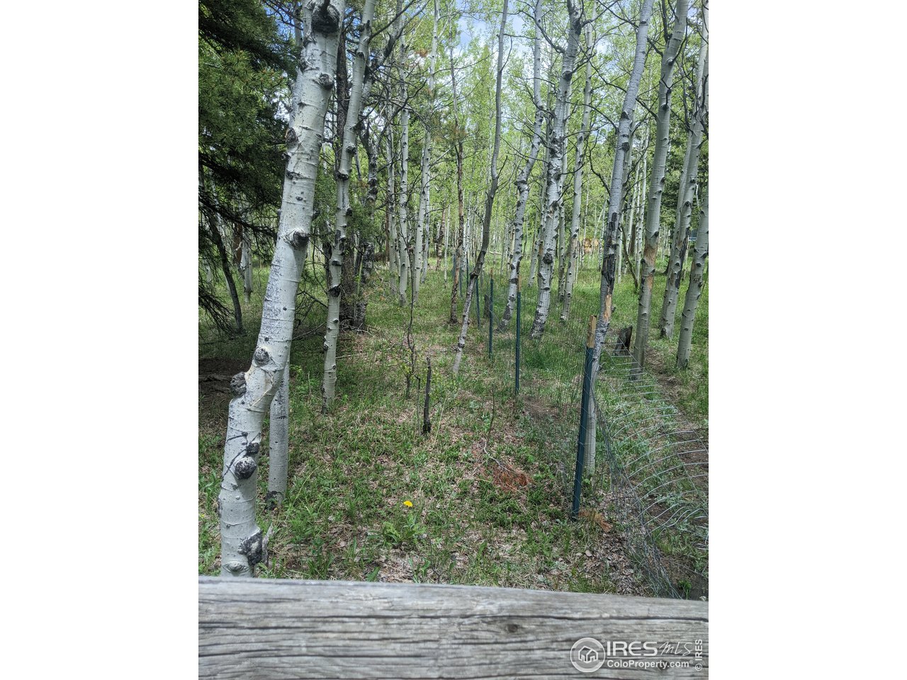 3135 Ridge Road Nederland, CO 80466 - Photo 2 of 14