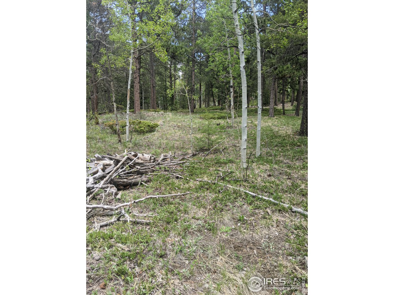 3135 Ridge Road Nederland, CO 80466 - Photo 5 of 14