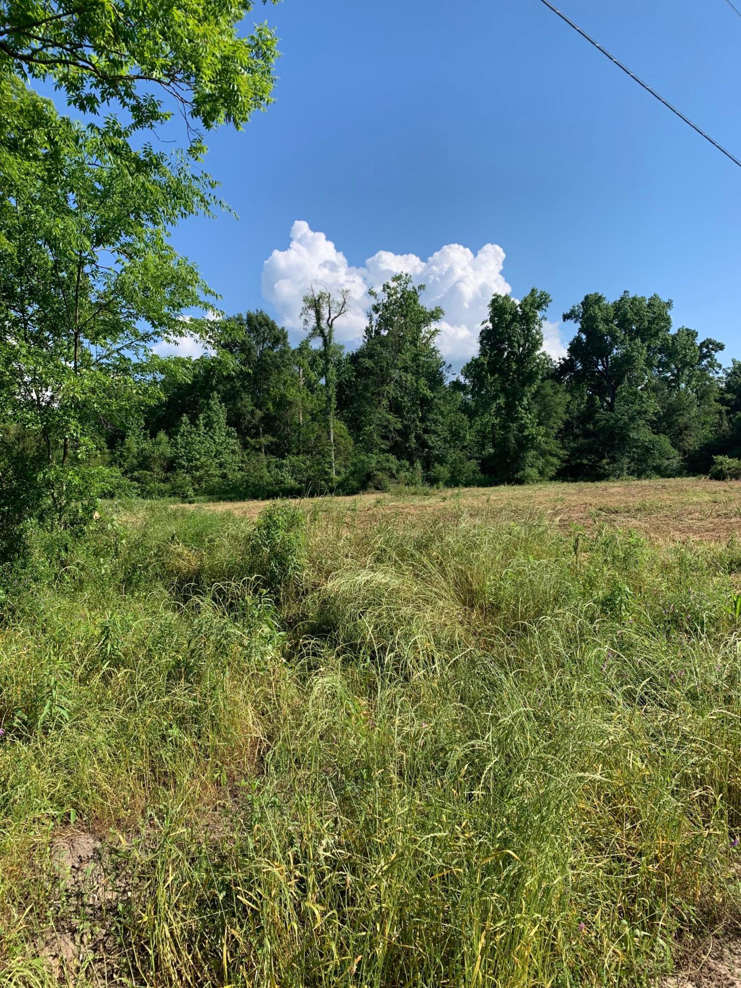 0 Bo Peep Road Brunson, SC 29911 - Photo 1 of 3 IMG-8918