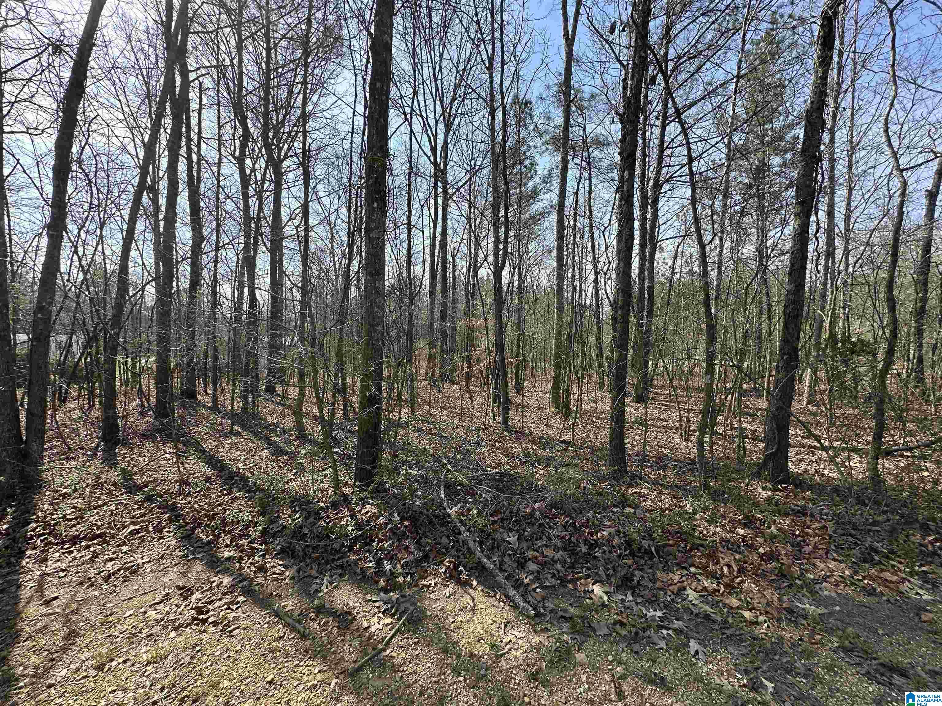 2560 Slasham Road Ashville, AL 35953 - Photo 71 of 77