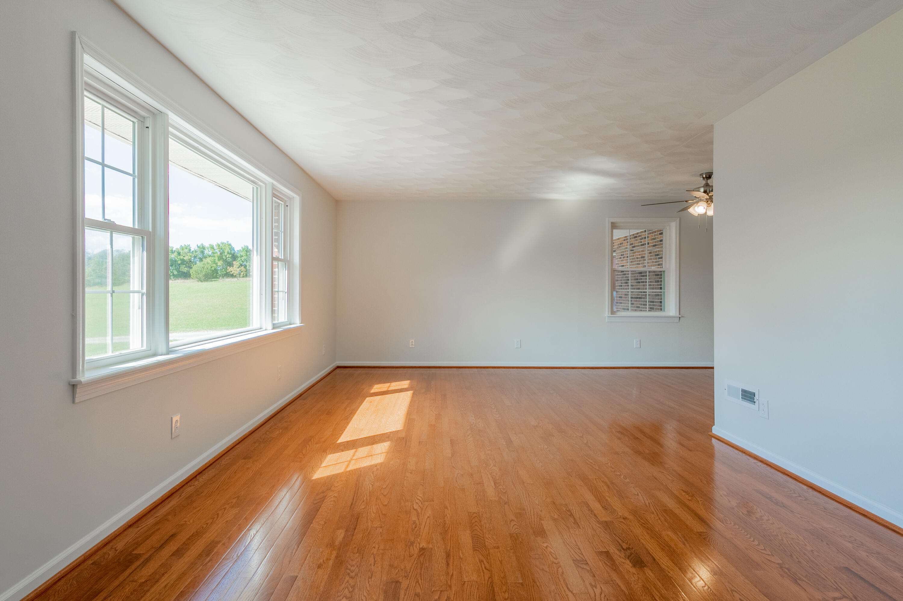 5100 Altizer Sugar Run Road Hiwassee, VA 24347 - Photo 8 of 82 Hiwassee-10