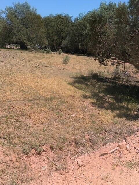 Lot 46 Park Road Payson, AZ 85541 - Photo 6 of 6 pic5