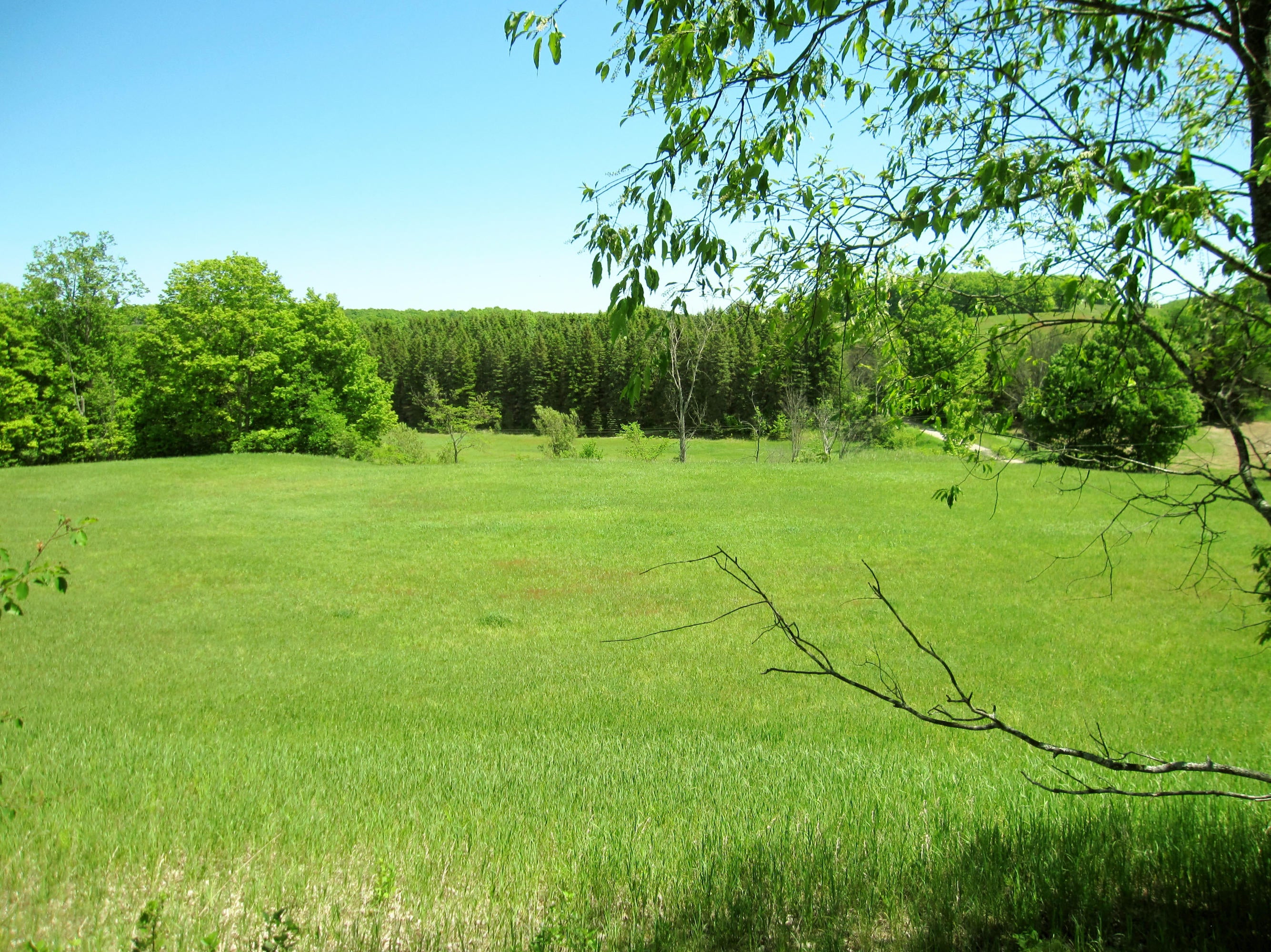 Kosiara Road Gaylord, MI 49735 - Photo 4 of 15 Gallery Image 4