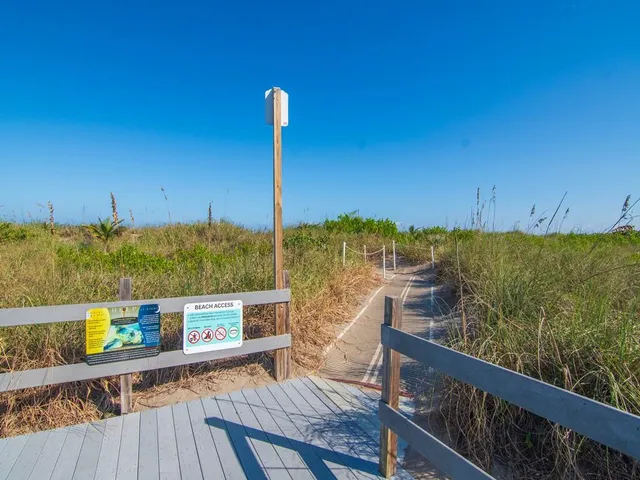 a view of beach and ocean