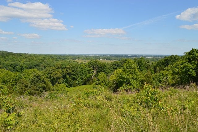 0 Blue Level Providence Road Rockfield, KY 42274 - Photo 4 of 7 Gallery Image 4