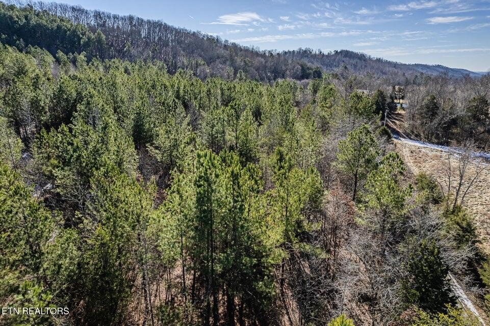 5 South NoPone Vly Road Athens, TN 37303 - Photo 5 of 12