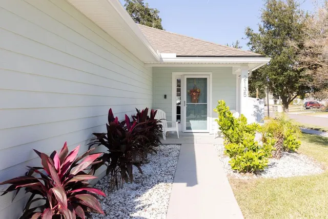 a potted plant sitting in front of a house