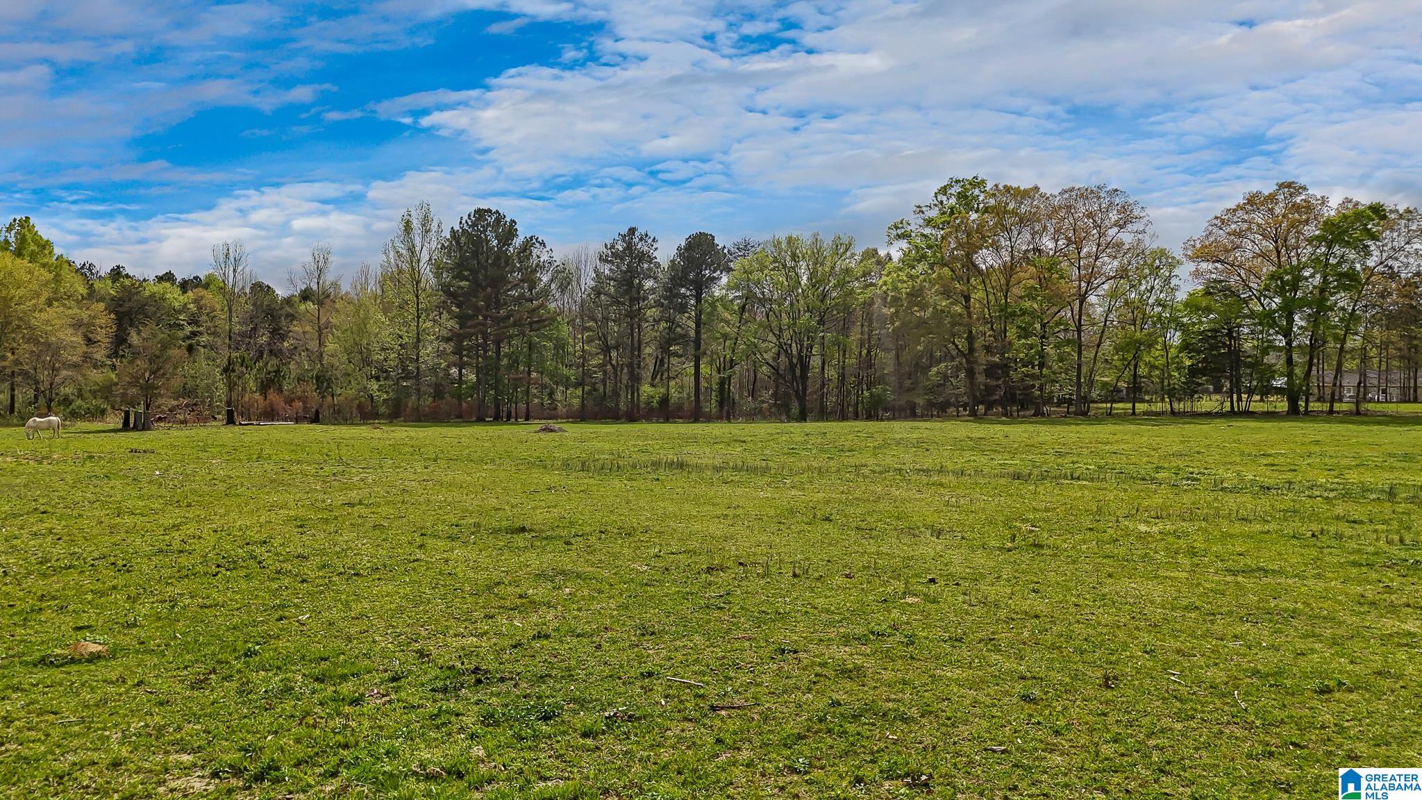 3237 Mud Creek Road Adger, AL 35006 - Photo 1 of 27