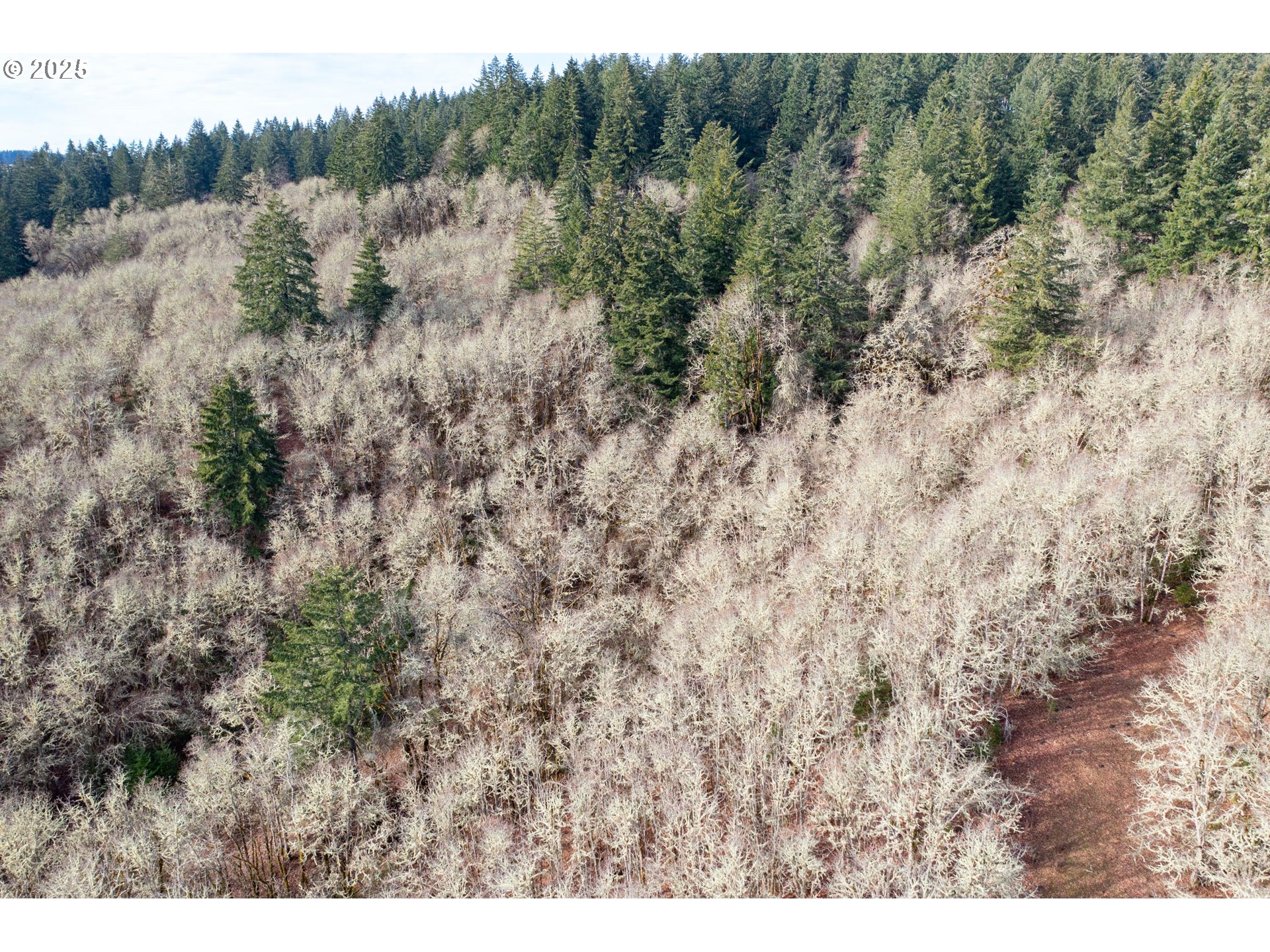 0 Next To) Airlie Road Monmouth, OR 97361 - Photo 32 of 34