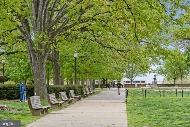 a view of a bench in a yard