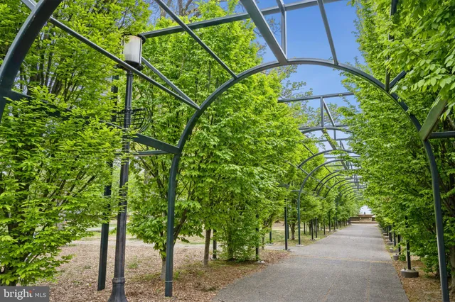 a view of a pathway both side of building