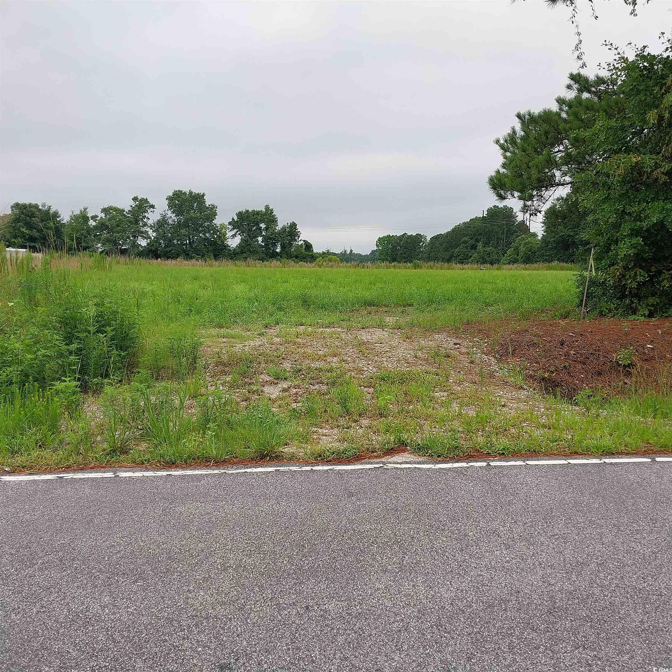 Lot 9 Harper Road Marion, SC 29571 - Photo 1 of 2 Gallery Image 1