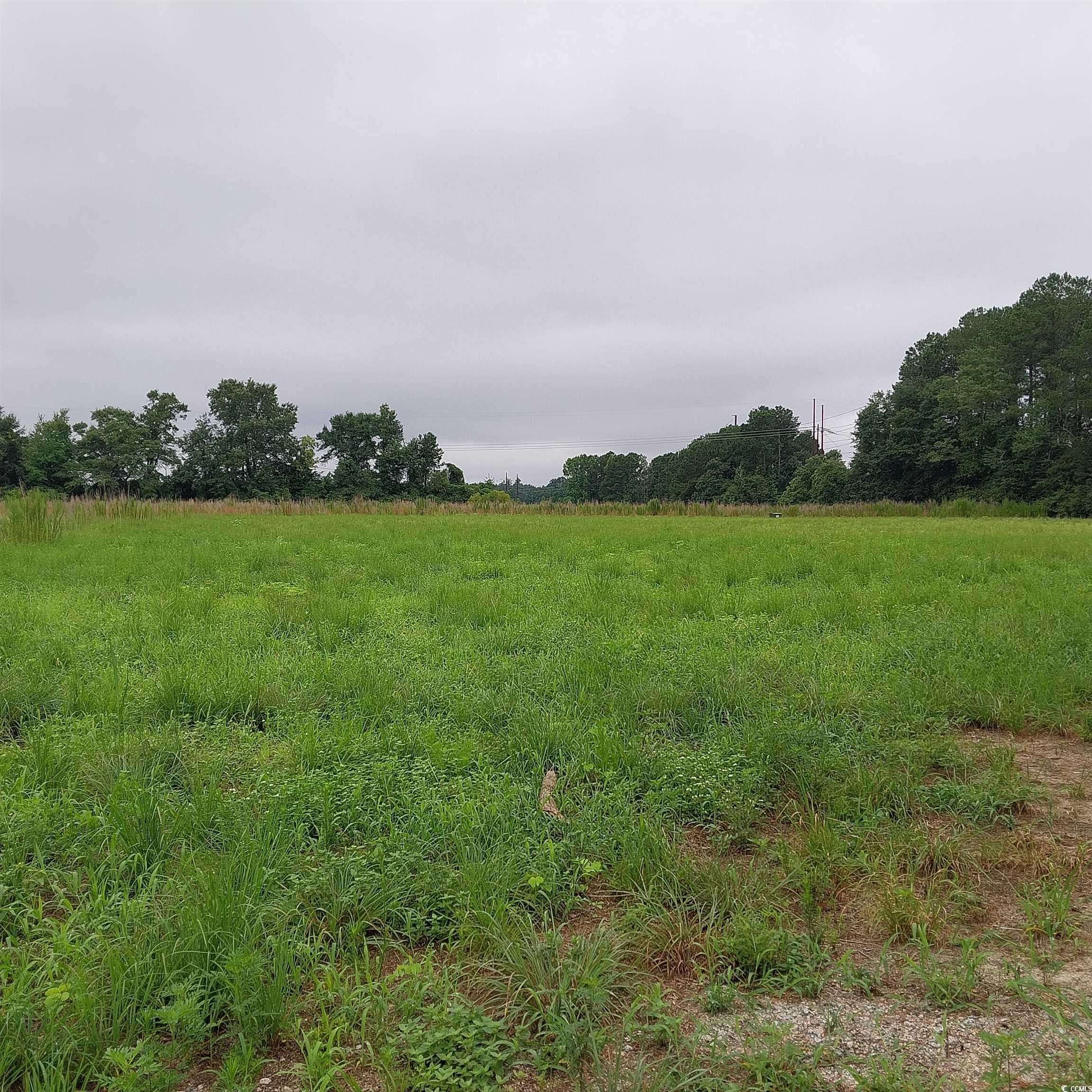 Lot 9 Harper Road Marion, SC 29571 - Photo 2 of 2 Gallery Image 2