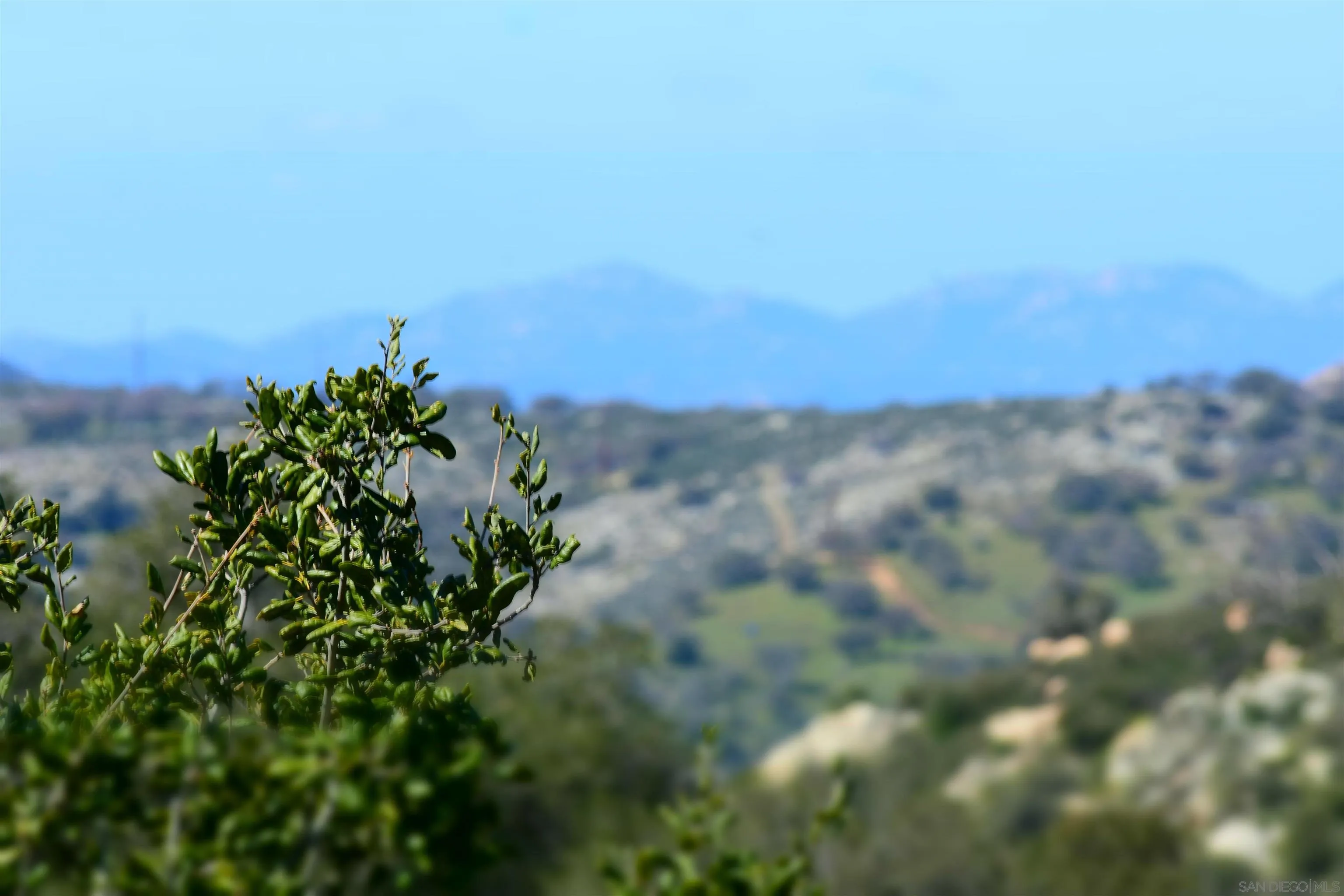 1222 Lakedale Road Santa Ysabel, CA 92070 - Photo 3 of 46 Gallery Image 3