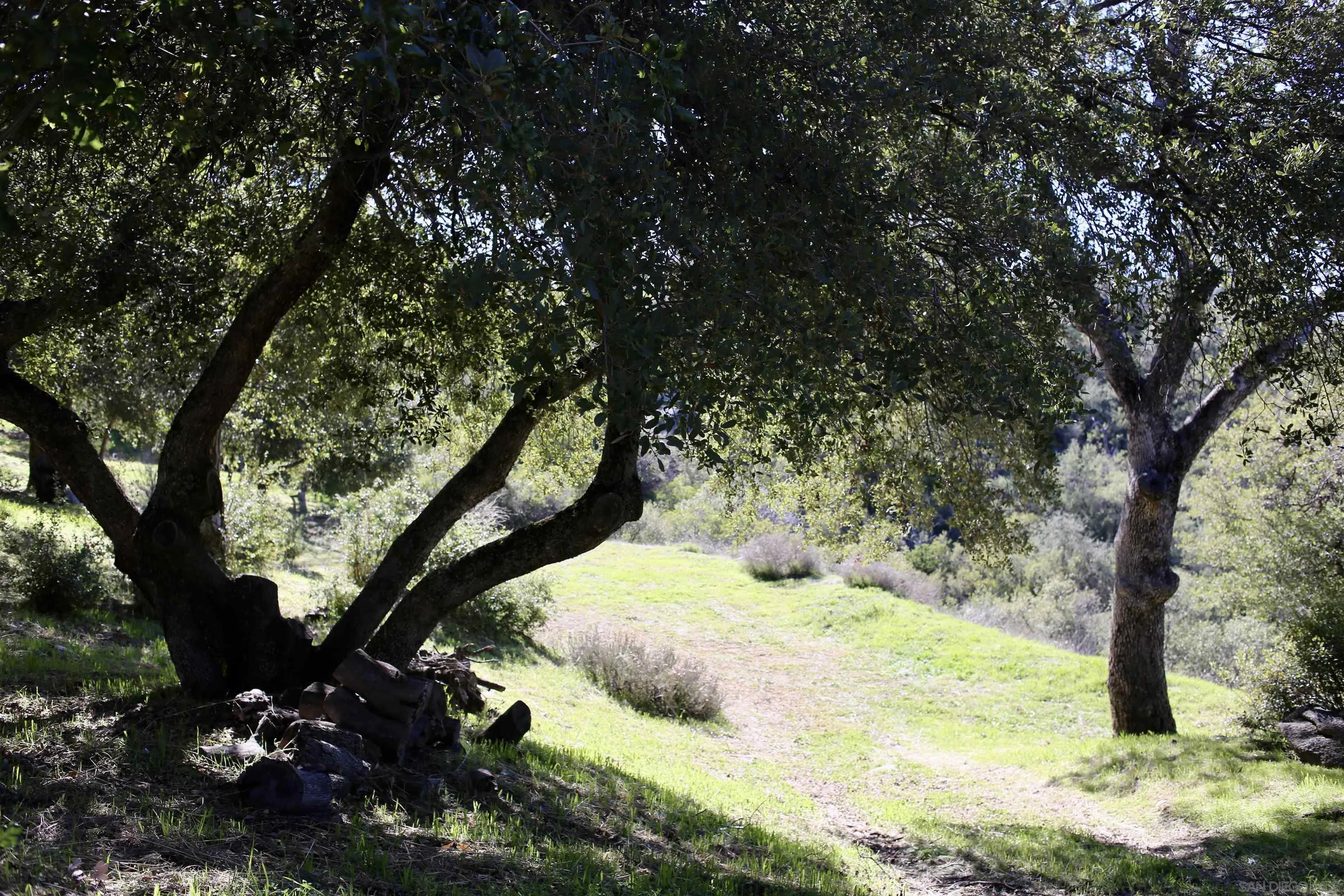 1222 Lakedale Road Santa Ysabel, CA 92070 - Photo 33 of 46 Gallery Image 33