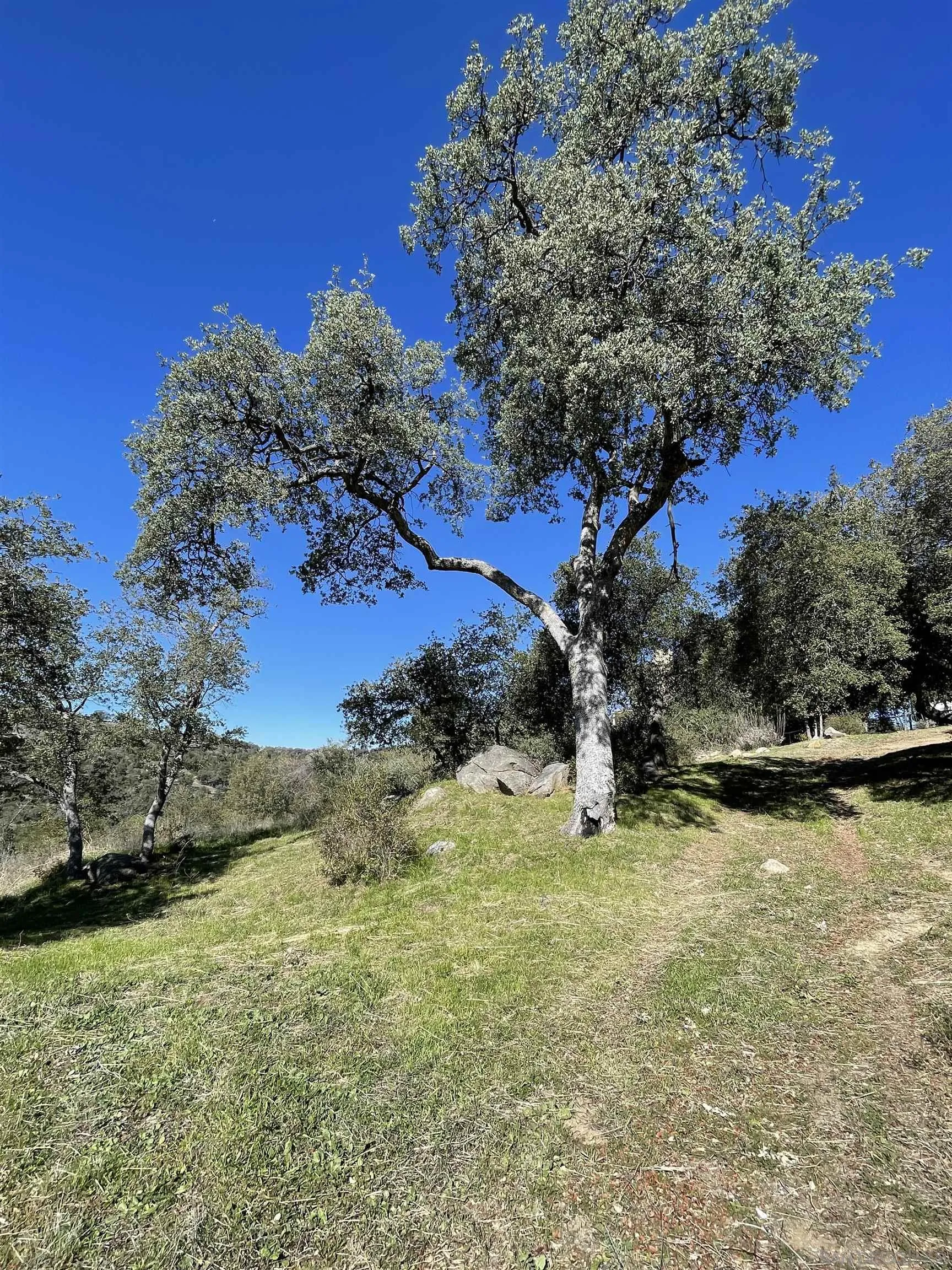 1222 Lakedale Road Santa Ysabel, CA 92070 - Photo 37 of 46 Gallery Image 37