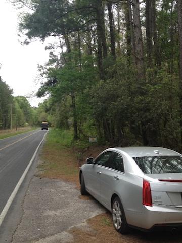Edisto River listing pic.jpg