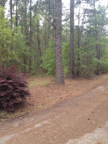 0 Steves Place Ridgeville, SC 29472 - Photo 2 of 3 EdistoRiverphotofromKeelsLn.jpg