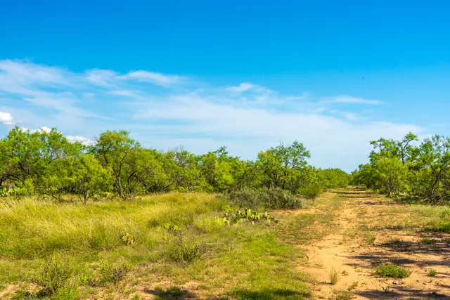a view of a tiny house with a yard and furniture