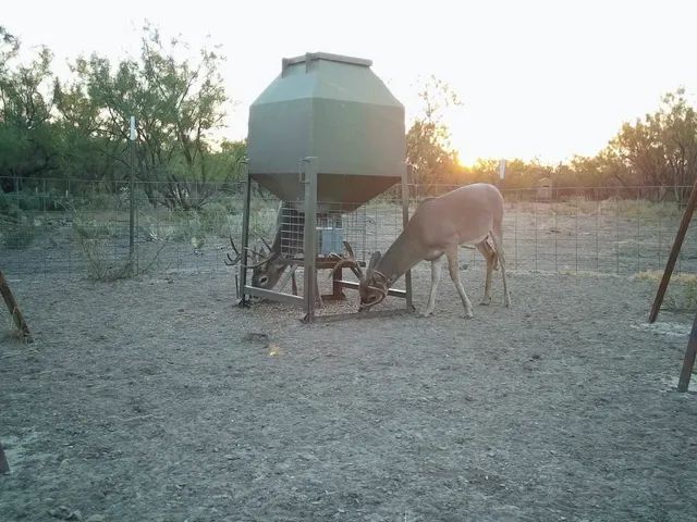 a view of a lake with a yard