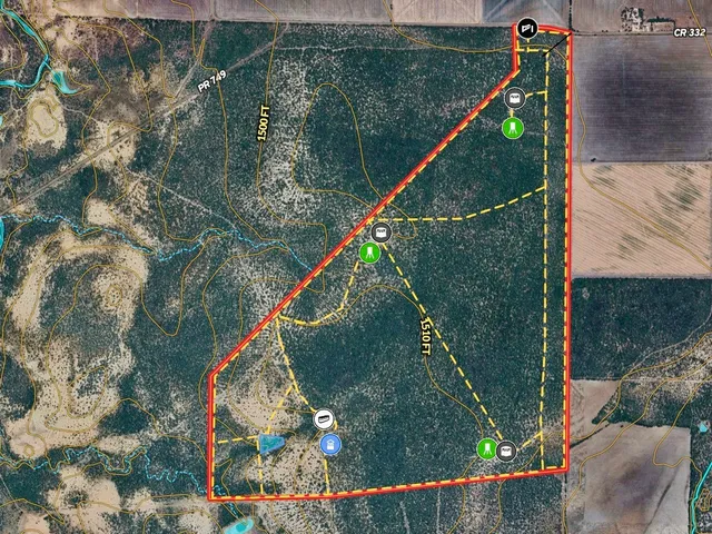 a park view from a balcony