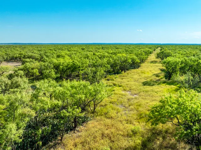 a view of yard with swimming pool