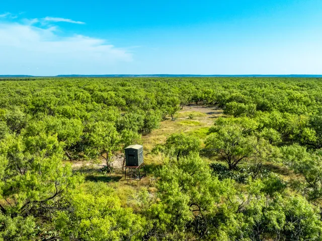 a view of a yard with an outdoor space