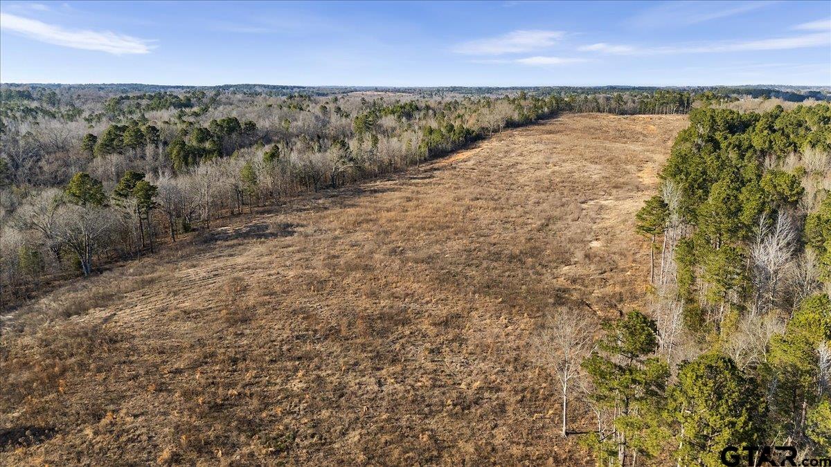 12348 Farm To Market Road 2767 Tyler, TX 75708 - Photo 11 of 29 a view of a lake with a mountain in the background