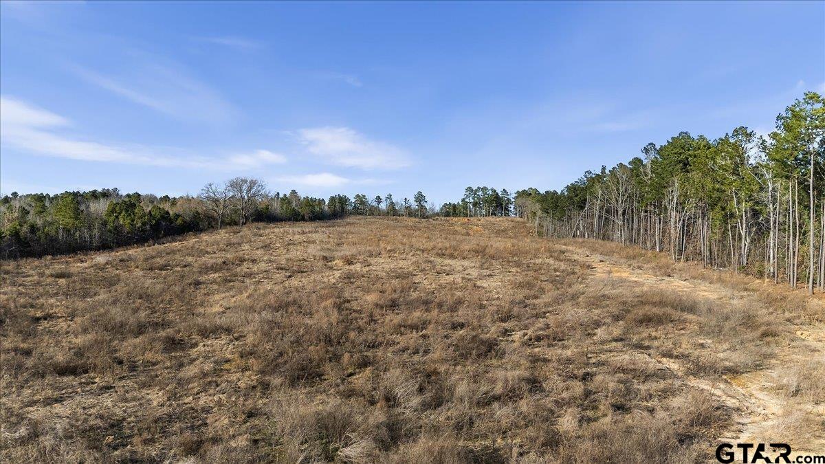 12348 Farm To Market Road 2767 Tyler, TX 75708 - Photo 16 of 29 a view of a yard with a tree