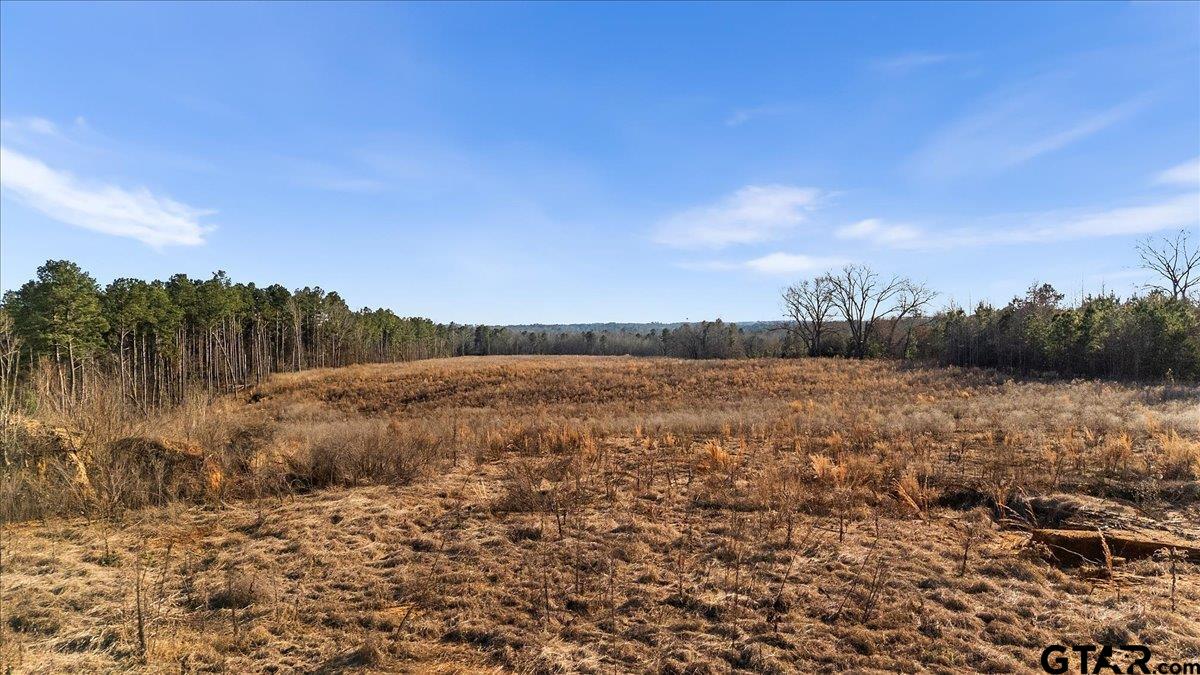 12348 Farm To Market Road 2767 Tyler, TX 75708 - Photo 18 of 29 a view of a lake view
