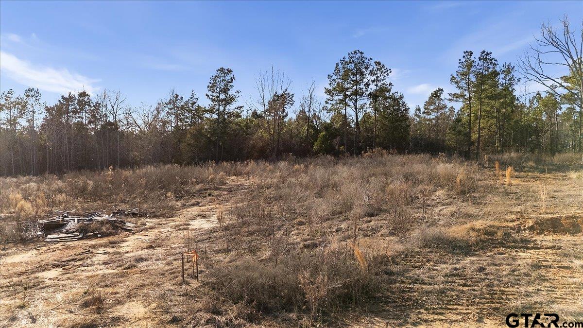 12348 Farm To Market Road 2767 Tyler, TX 75708 - Photo 19 of 29 a view of a yard