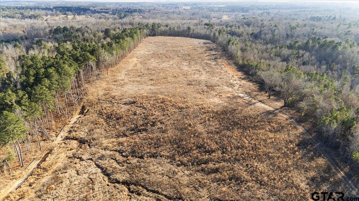 12348 Farm To Market Road 2767 Tyler, TX 75708 - Photo 19 of 29