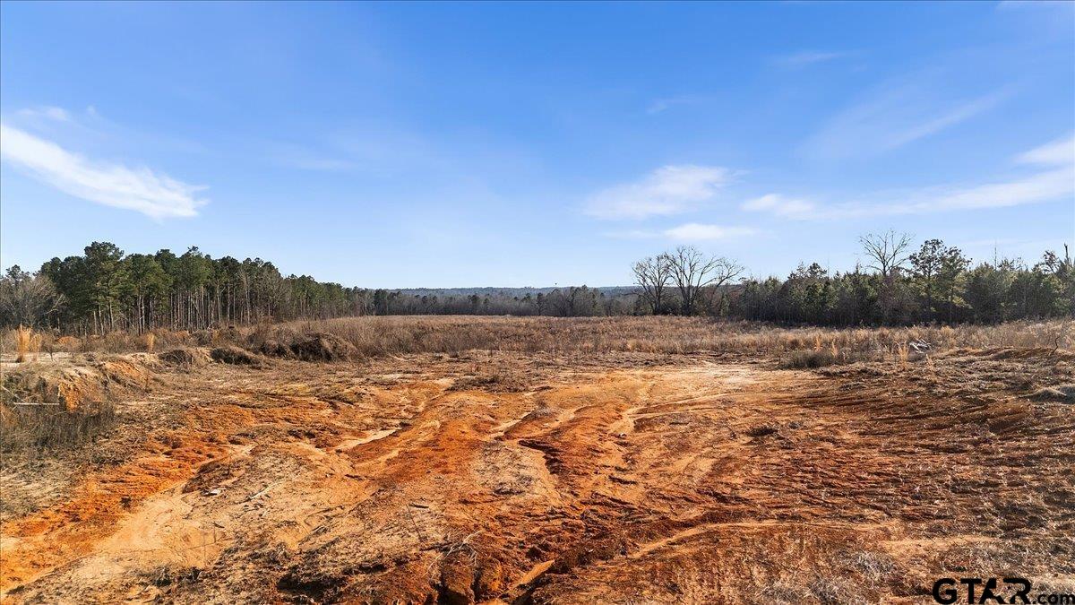 12348 Farm To Market Road 2767 Tyler, TX 75708 - Photo 20 of 29 a view of lake view and mountain