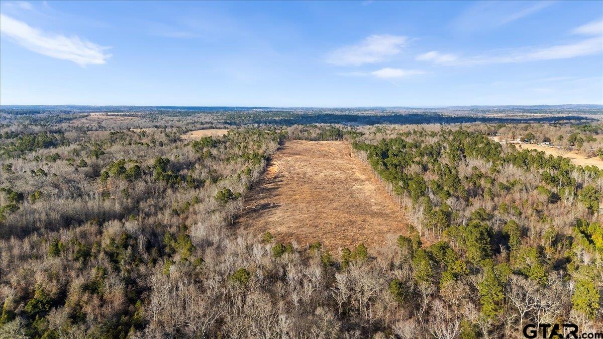 12348 Farm To Market Road 2767 Tyler, TX 75708 - Photo 21 of 29