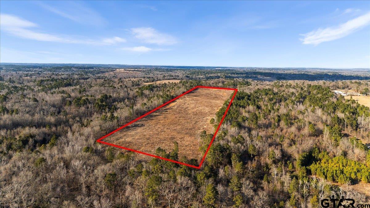 12348 Farm To Market Road 2767 Tyler, TX 75708 - Photo 22 of 29