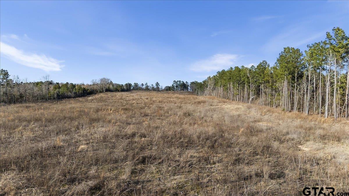 12348 Farm To Market Road 2767 Tyler, TX 75708 - Photo 25 of 29