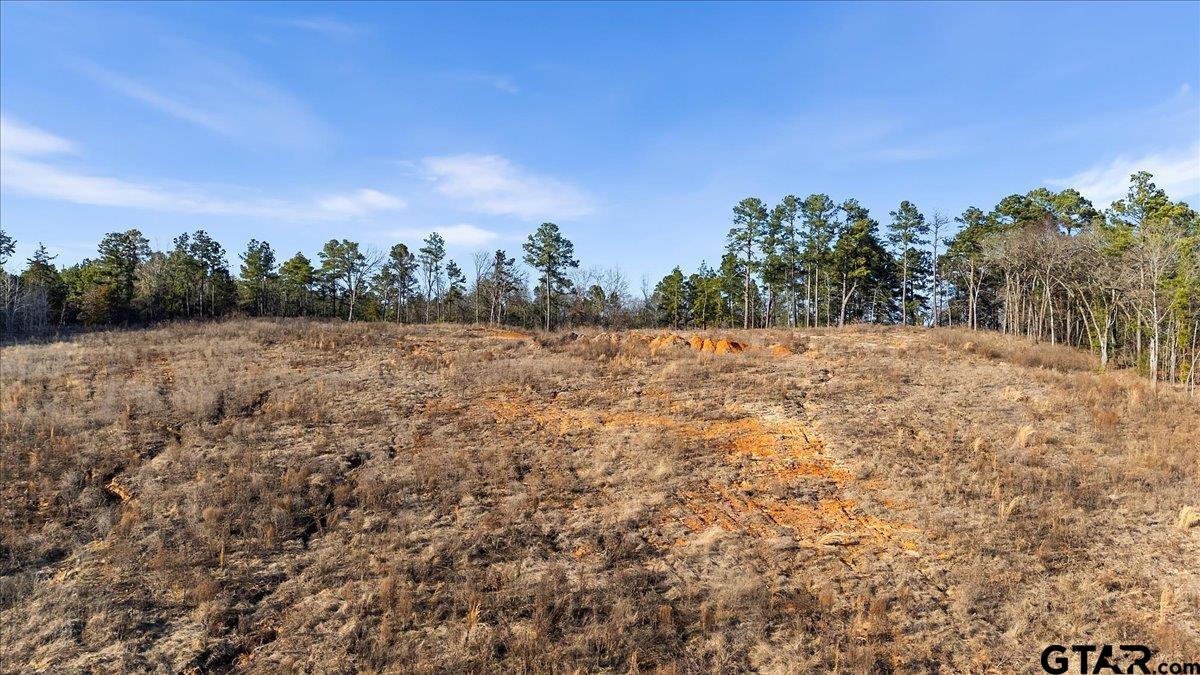 12348 Farm To Market Road 2767 Tyler, TX 75708 - Photo 26 of 29