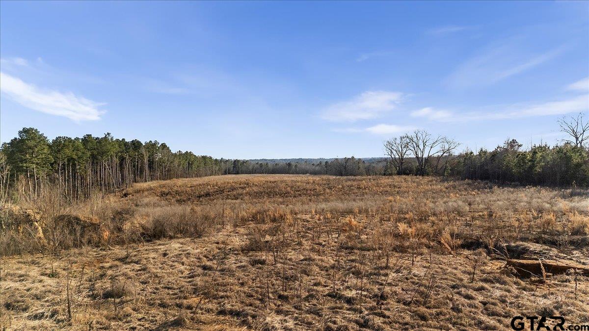12348 Farm To Market Road 2767 Tyler, TX 75708 - Photo 27 of 29 a view of a lake with houses in the back