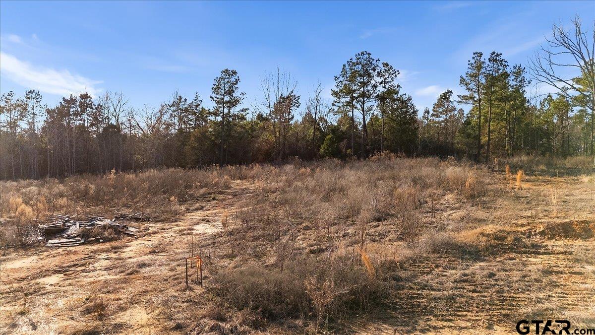 12348 Farm To Market Road 2767 Tyler, TX 75708 - Photo 28 of 29 a view of a lake view