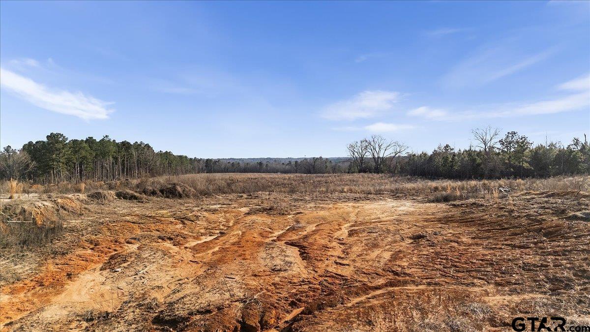 12348 Farm To Market Road 2767 Tyler, TX 75708 - Photo 29 of 29 a view of lake view and mountain