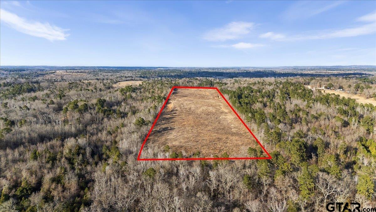 12348 Farm To Market Road 2767 Tyler, TX 75708 - Photo 7 of 29