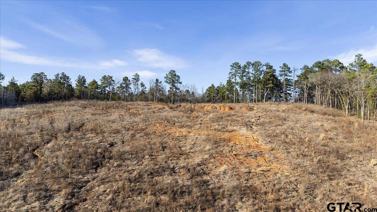 12348 Farm To Market Road 2767 Tyler, TX 75708 - Photo 7 of 29