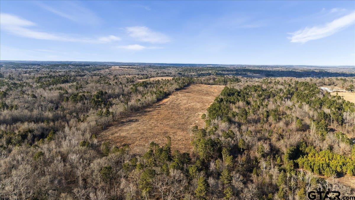 12348 Farm To Market Road 2767 Tyler, TX 75708 - Photo 10 of 29 an aerial view of beach and ocean